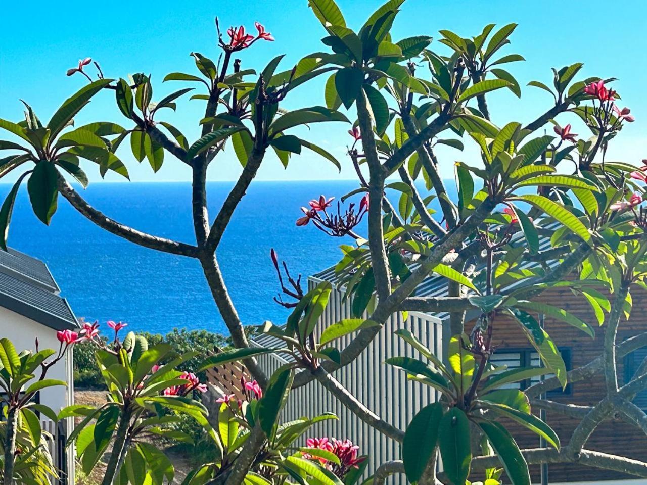 Le Reve Bleu Grand Anse Διαμέρισμα Petite Île Εξωτερικό φωτογραφία